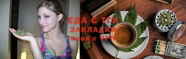 гидра Абаза