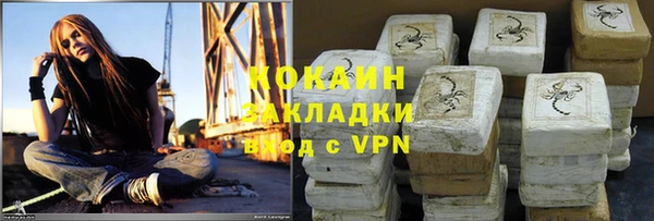 шишки Лабытнанги