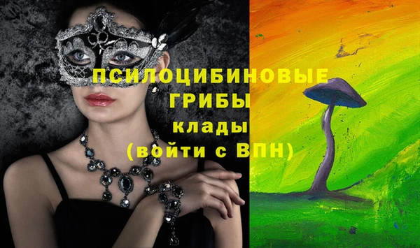 гидра Абаза