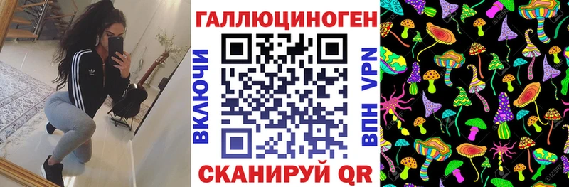 купить наркотик Верхоянск Галлюциногенные грибы прущие грибы