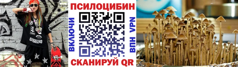 Псилоцибиновые грибы мицелий Верхоянск