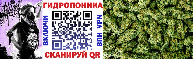Марихуана конопля  Верхоянск 